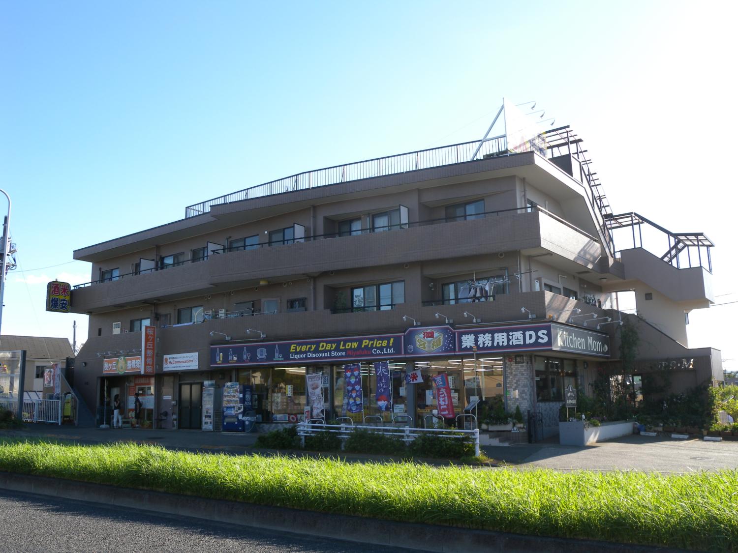 ソシュールM